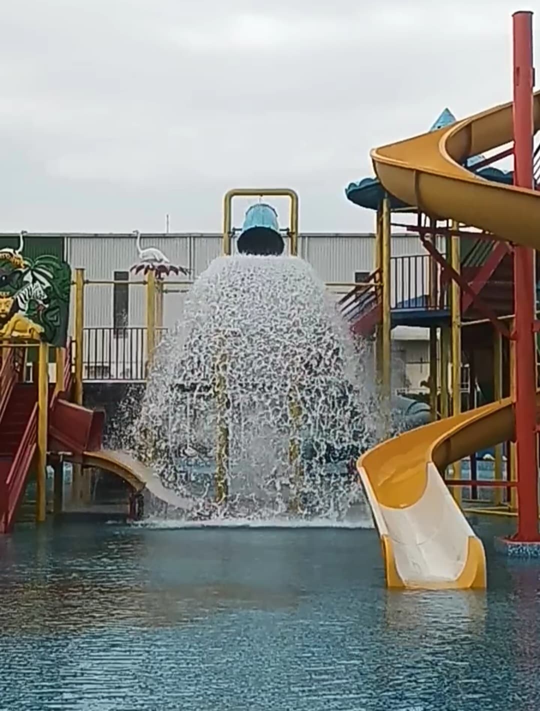 Rain Dance at Dolphin Water Resort